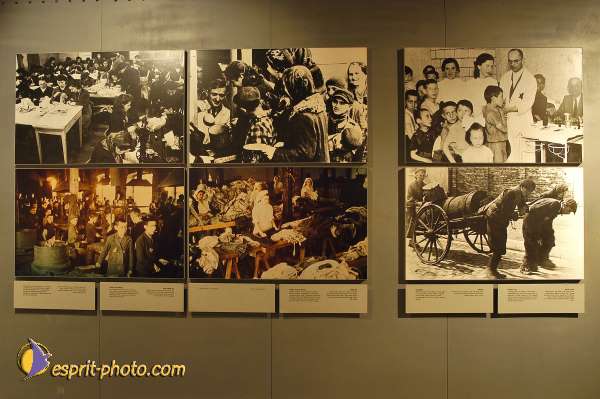 Nom de l'image : D1201719-1 — Description :  Voyage en Terre Sainte avec Jeunesse Lumière