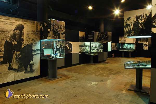 Nom de l'image : D1201728-1 — Description :  Voyage en Terre Sainte avec Jeunesse Lumière