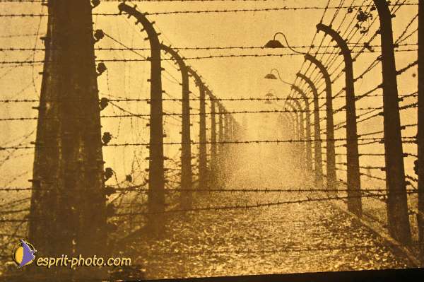 Nom de l'image : D1201733-1 — Description :  Voyage en Terre Sainte avec Jeunesse Lumière