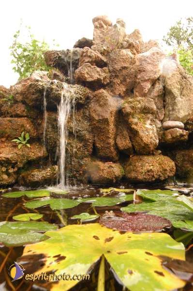 Nom de l'image : D1070787 — Description :