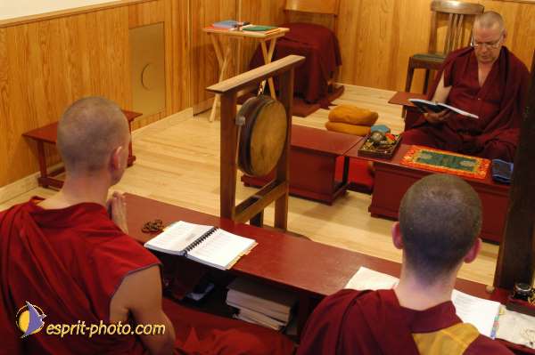 Nom de l'image : D1070931 — Description :