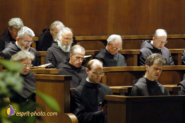 Nom de l'image : D1130338-01 — Description :