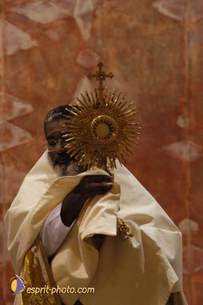 Nom de l'image : DSC_6863 — Description :