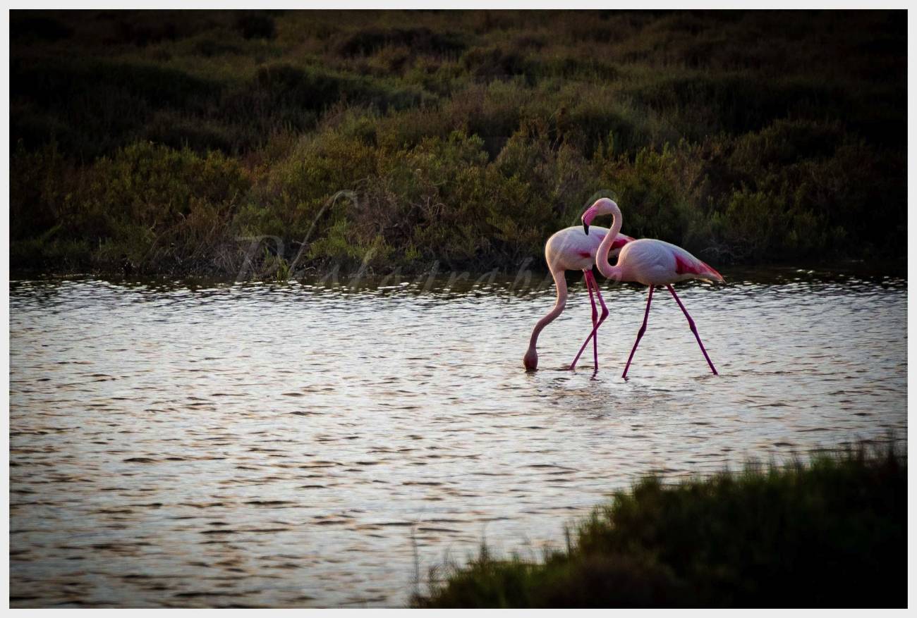 Pèlerinage en Provence de l'aumônerie Libourne