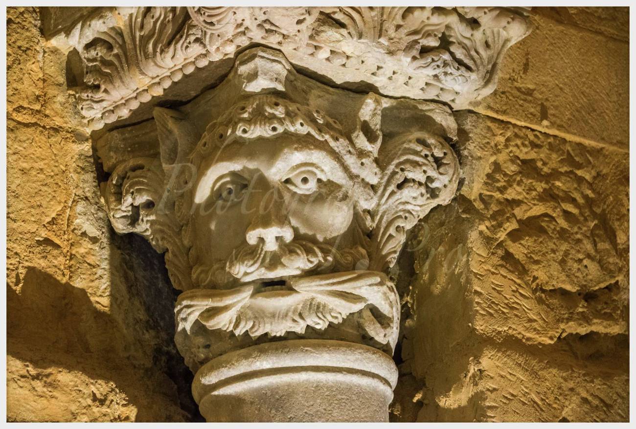 Nom de l'image : 20170424-104850_D6011987_c_Photographie.Pro — Description :