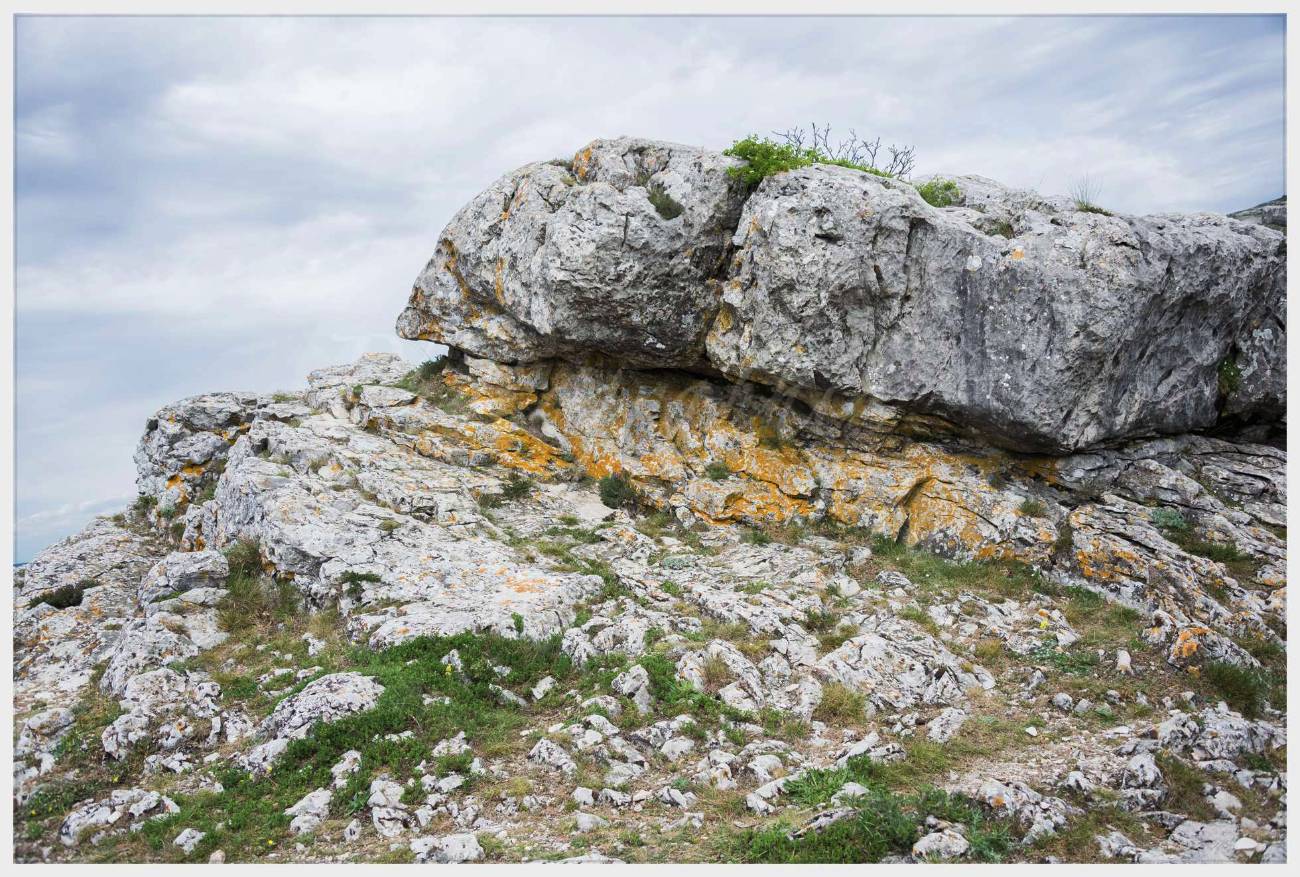 Nom de l'image : 20170425-142910_D6012223_c_Photographie.Pro — Description :