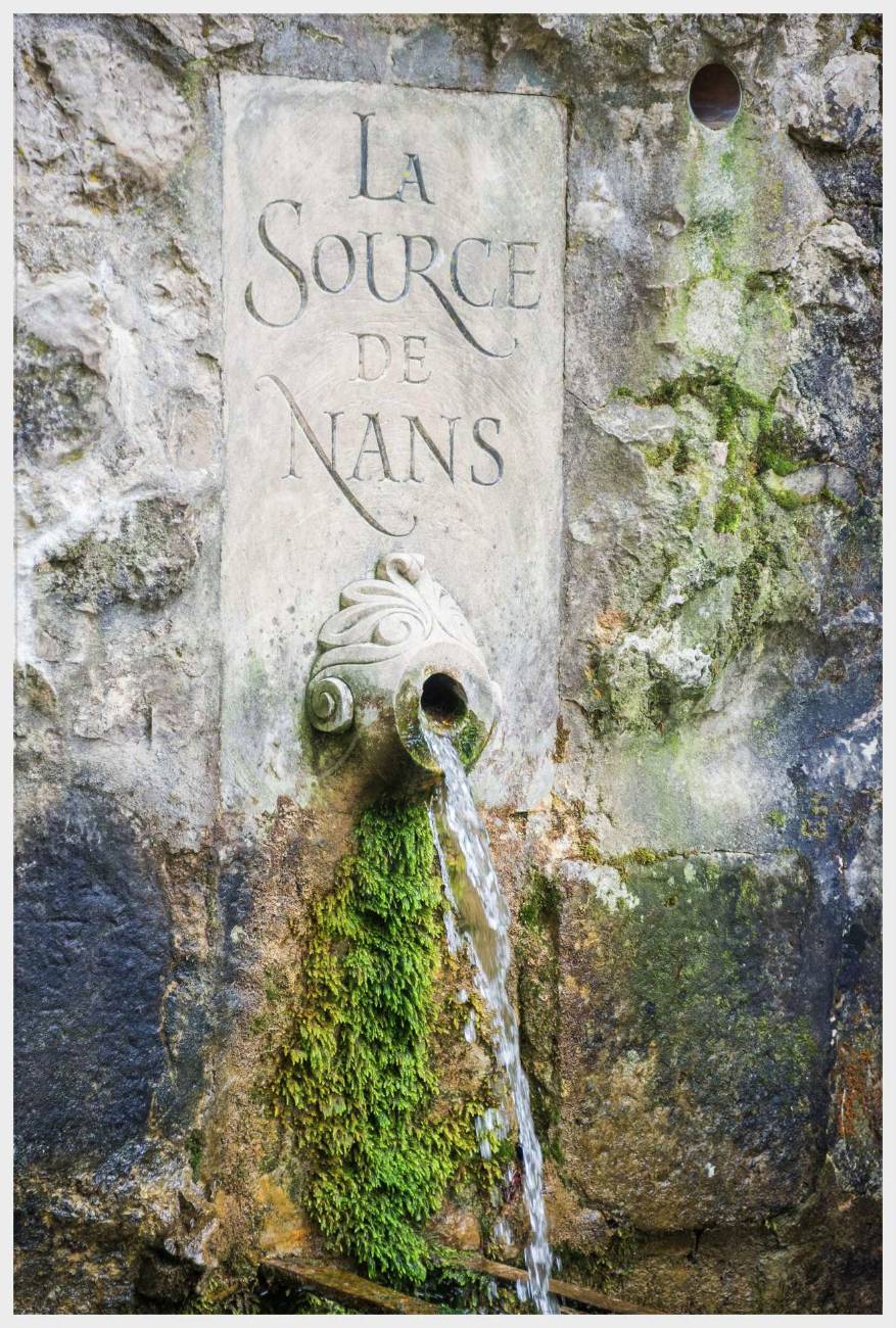 Nom de l'image : 20170425-160820_D6012264_c_Photographie.Pro — Description :