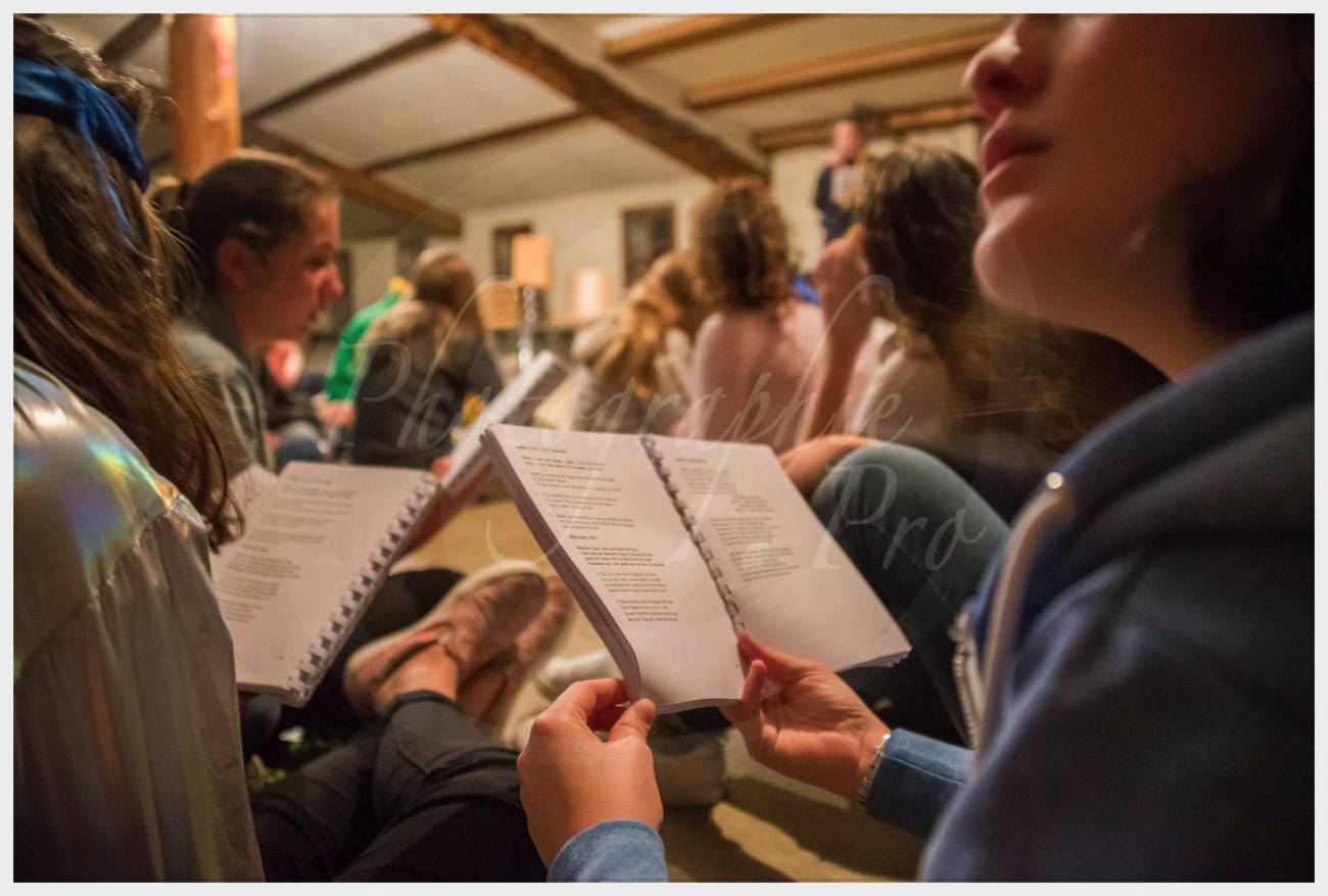 Nom de l'image : 20170425-212954_D6012266_c_Photographie.Pro — Description :