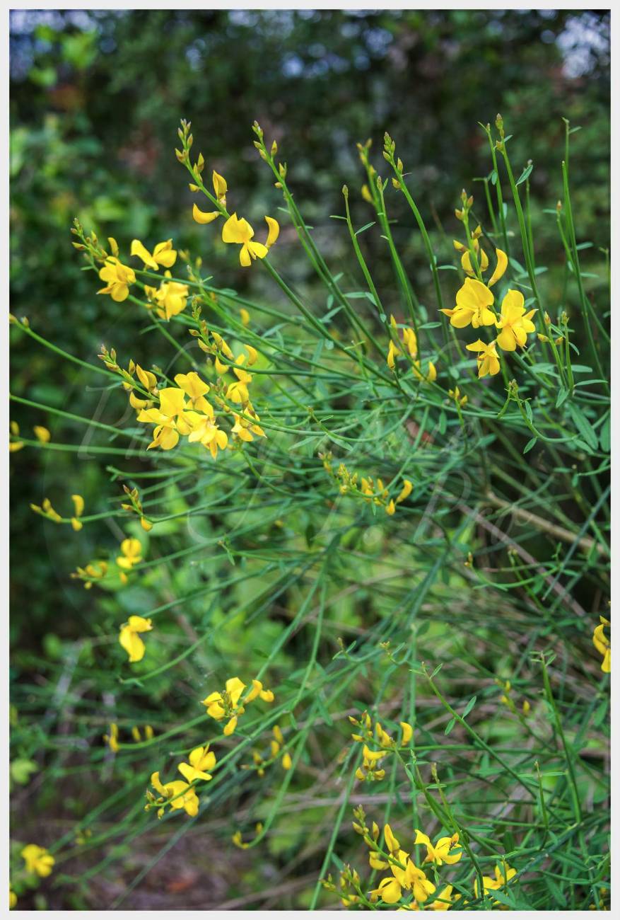 Nom de l'image : 20170426-142600_D6012373_c_Photographie.Pro — Description :