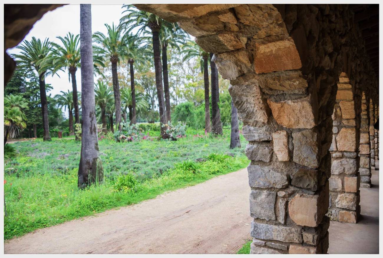 Nom de l'image : 20170427-110048_D6012786_c_Photographie.Pro — Description :