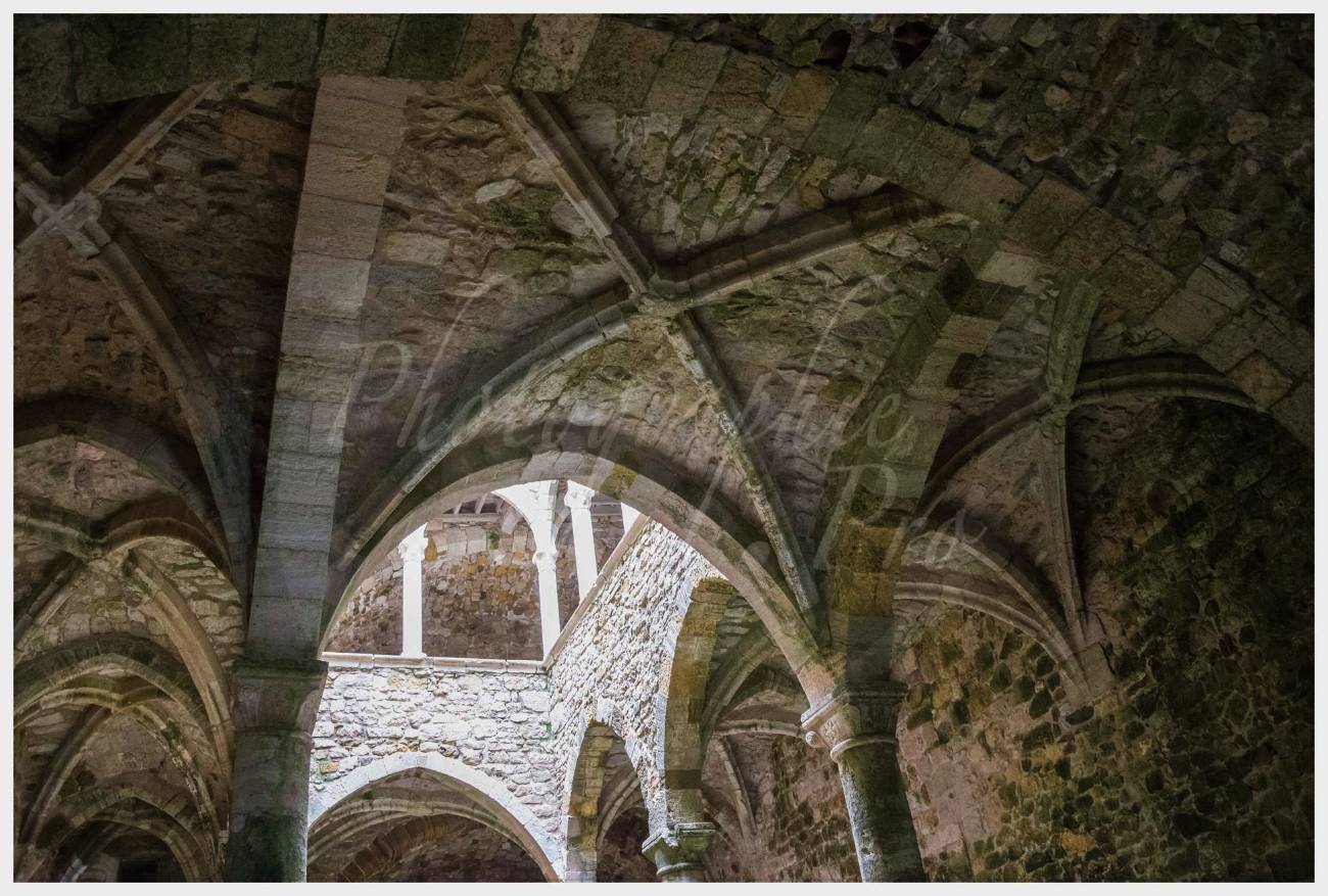 Nom de l'image : 20170427-125954_D6012836_c_Photographie.Pro — Description :