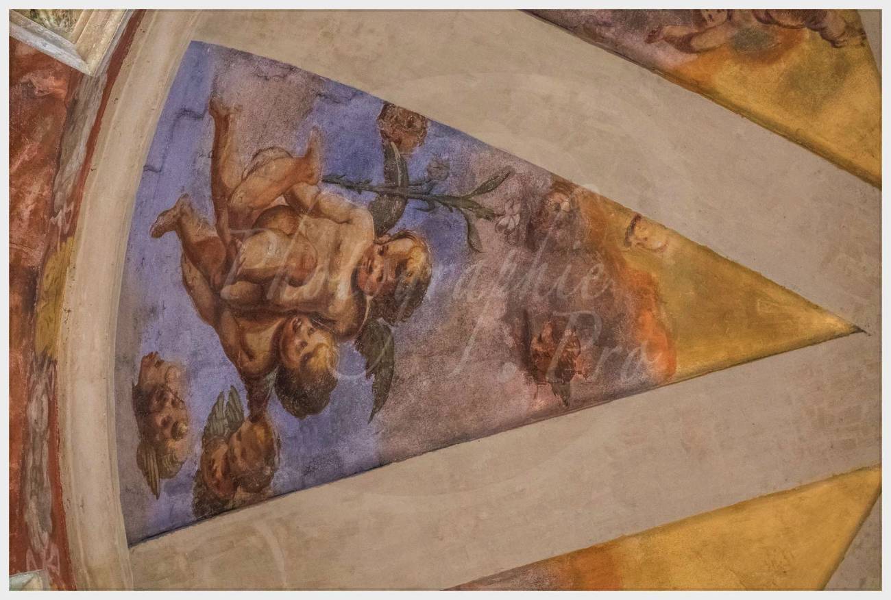 Nom de l'image : 20170429-164742_S1012543_c_Photographie.Pro — Description :