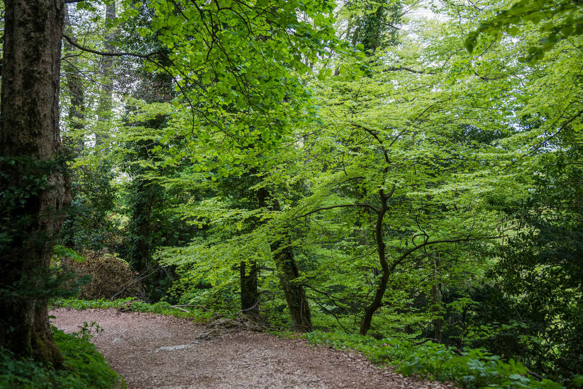 Nom de l'image : 20170425-154942_D6012260_c_Photographie.Pro — Description :