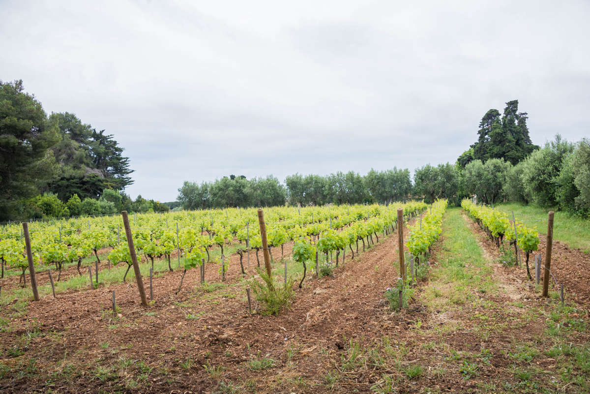 Nom de l'image : 20170427-104040_D6012770_c_Photographie.Pro — Description :