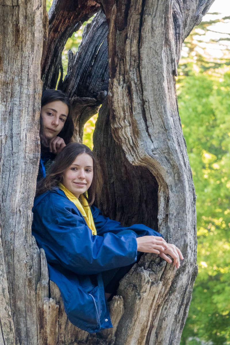 Nom de l'image : 20170429-074010_S1011905_c_Photographie.Pro — Description :