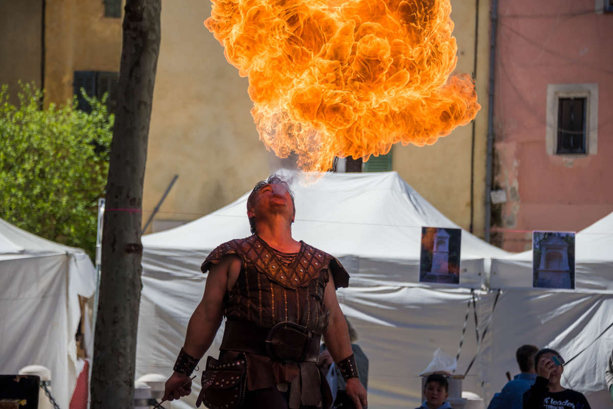 Nom de l'image : 20170429-110408_D6013238_c_Photographie.Pro — Description :