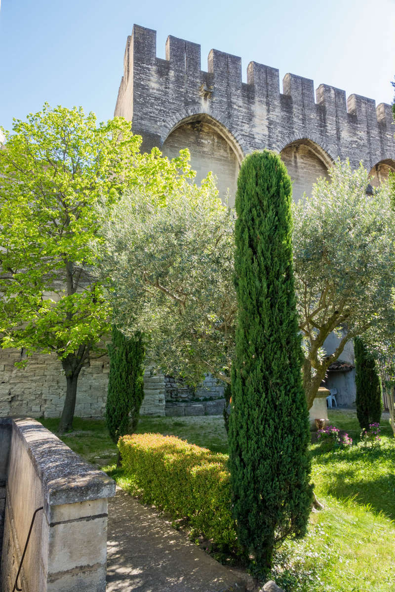 Nom de l'image : 20170429-163154_S1012500_c_Photographie.Pro — Description :