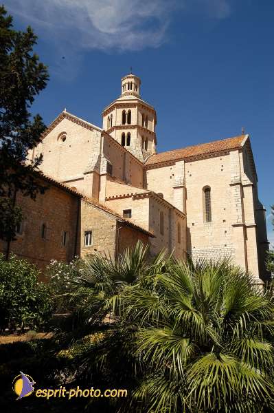 Nom de l'image : D1168886-1 — Description :  Abbaye de Fossanova (Latina-Italie) - Abbaye cistersienne