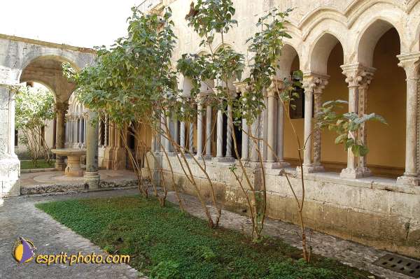Nom de l'image : D1168935-1 — Description :  Abbaye de Fossanova (Latina-Italie) - Abbaye cistersienne