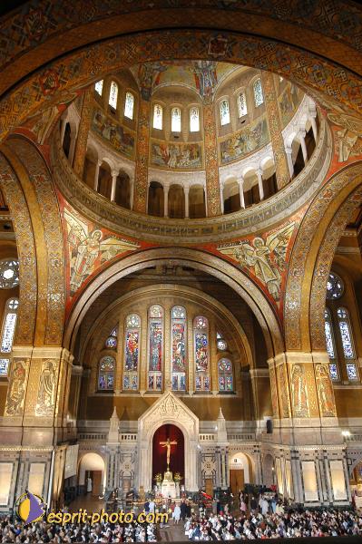 Nom de l'image : D1152476-01 — Description :