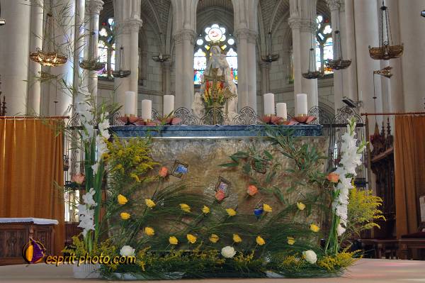 Nom de l'image : 2179648 — Description :