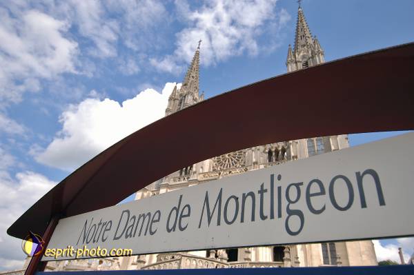 Nom de l'image : 2179679 — Description :