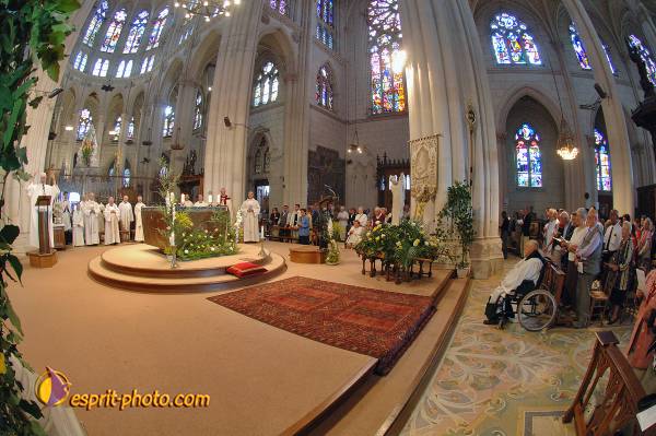 Nom de l'image : 2179732 — Description :