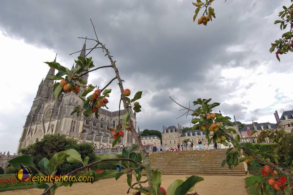 Nom de l'image : 2179787 — Description :