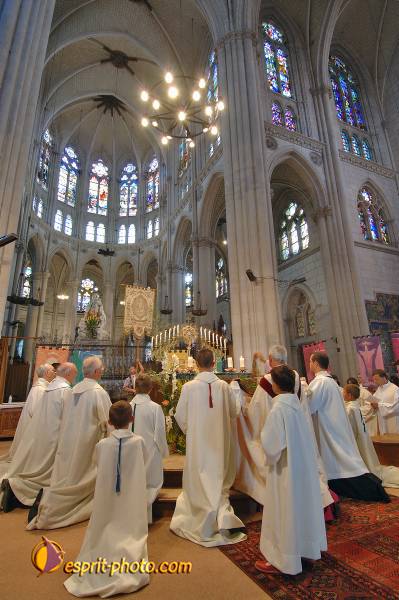 Nom de l'image : 2179881 — Description :