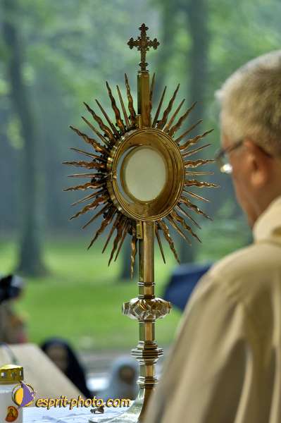 Nom de l'image : D2015732-1 — Description :