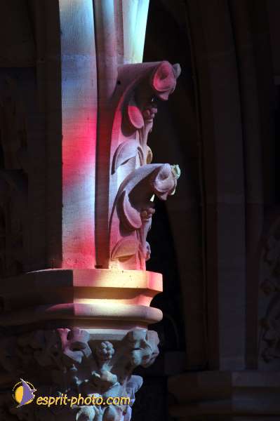 Nom de l'image : D1050141-01 — Description :  ND de l'Île Bouchard & ND de Pontmain (reportage pour la Vie)