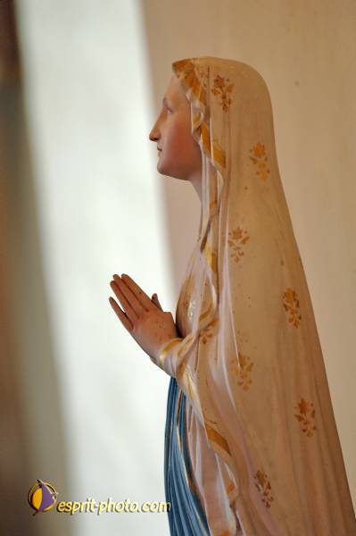 Nom de l'image : D2237486_1 — Description :