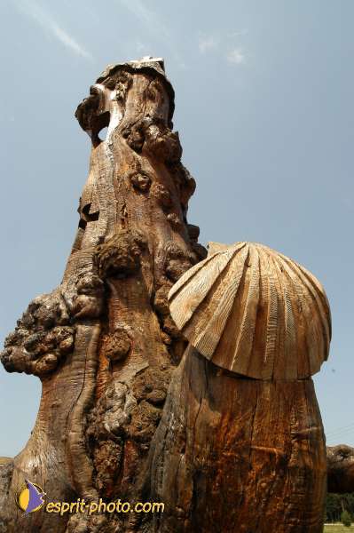 Nom de l'image : D1153954-01 — Description :