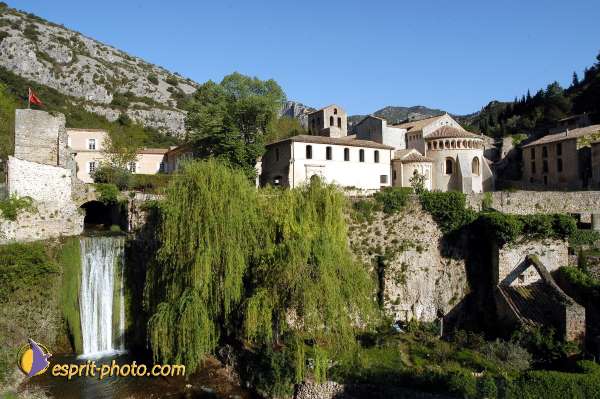 Nom de l'image : D1126815-01 — Description :