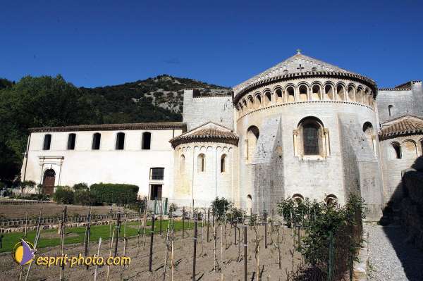 Nom de l'image : D1126900-nef-01 — Description :