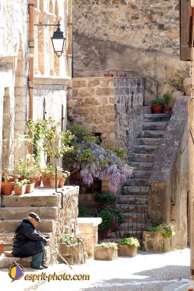 Nom de l'image : D1126909-nef-01 — Description :