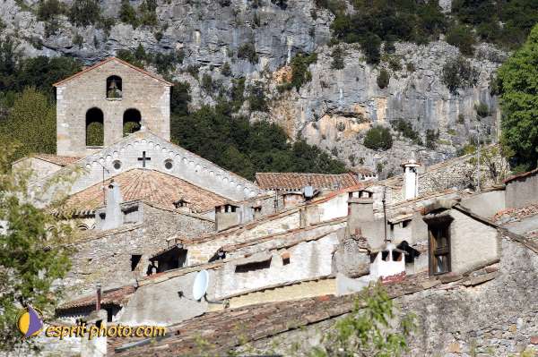 Nom de l'image : D1126923-nef-01 — Description :