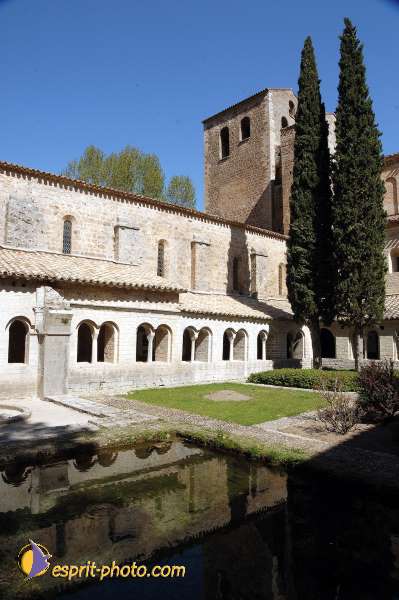 Nom de l'image : D1126935-nef-01 — Description :