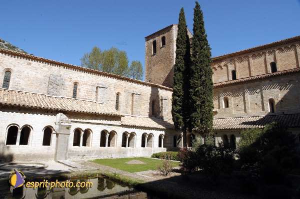 Nom de l'image : D1126938-nef-01 — Description :