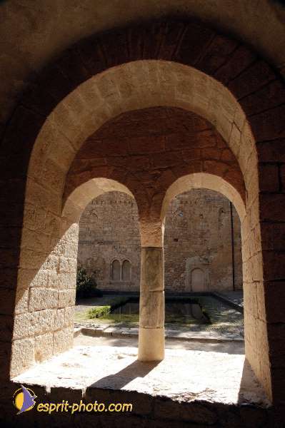 Nom de l'image : D1126949-nef-01 — Description :