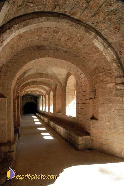 Nom de l'image : D1126955-nef-01 — Description :