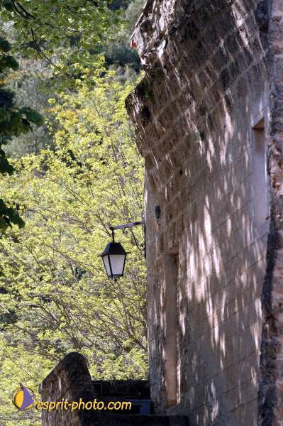 Nom de l'image : D1126977-nef-01 — Description :