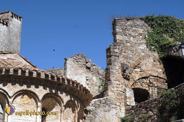 Nom de l'image : D1126991-nef-01 — Description :