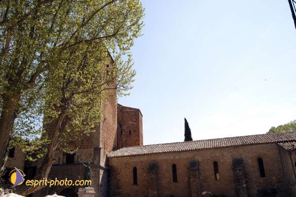 Nom de l'image : D1126996-nef-01 — Description :