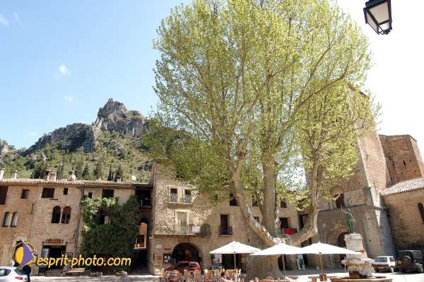 Nom de l'image : D1126997-nef-01 — Description :