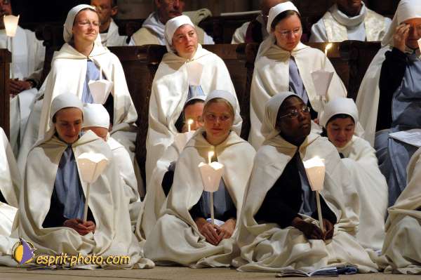 Nom de l'image : D1137957-01 — Description :