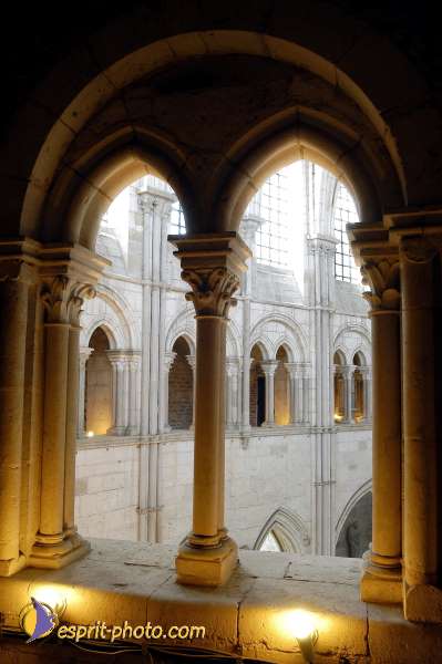 Nom de l'image : D1138766-01 — Description :