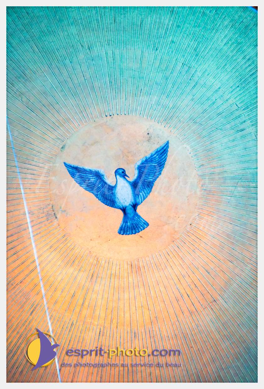 Nom de l'image : D8e021025_(c)esprit-photo.com — Description :