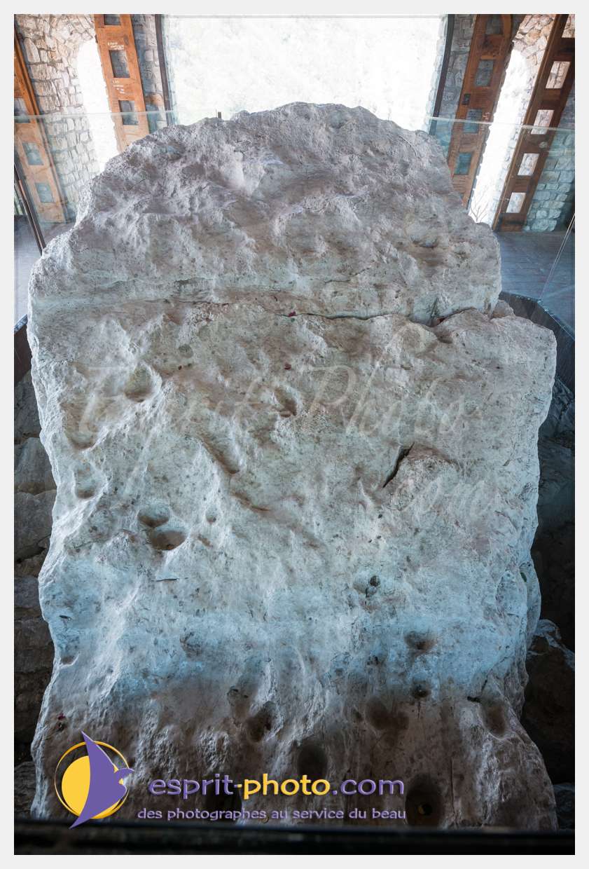 Nom de l'image : D8e021275_(c)esprit-photo.com — Description :