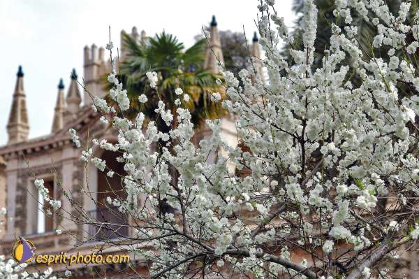 Nom de l'image : D1219539-1 — Description :  Pâques 2005 à Seville (Espagne-Andalusie)